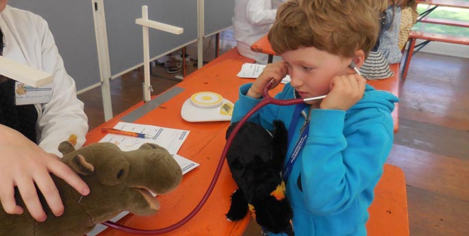 Zu Besuch im Teddykrankenhaus